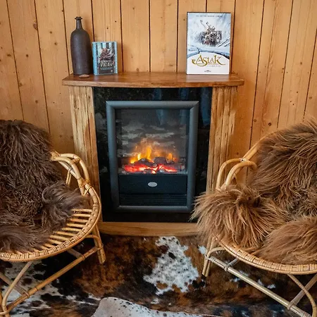 Insolite Viking